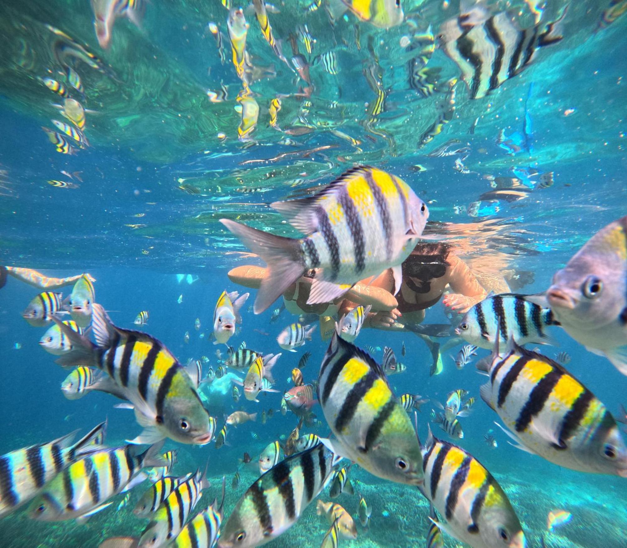 Unzipp Bungalows Gili Air Zewnętrze zdjęcie