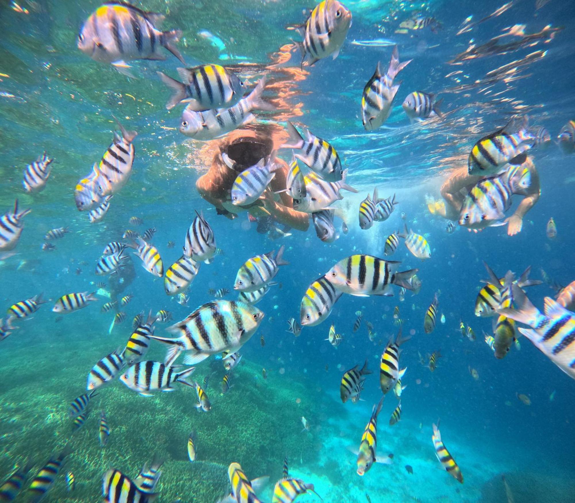 Unzipp Bungalows Gili Air Zewnętrze zdjęcie